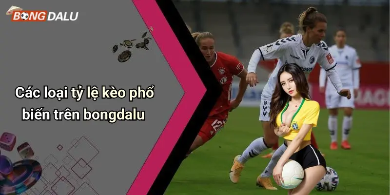 Các loại tỷ lệ kèo phổ biến trên bongdalu
