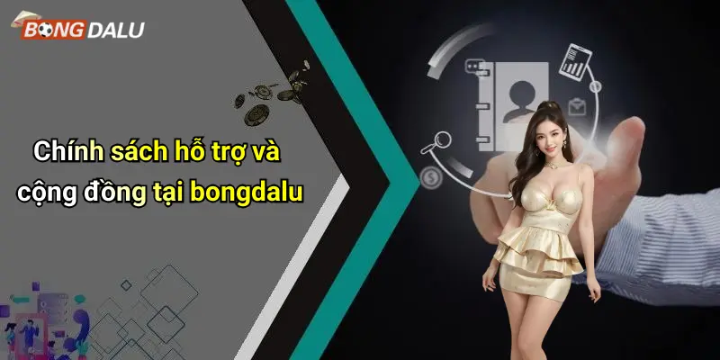 Chính sách hỗ trợ và cộng đồng tại bongdalu