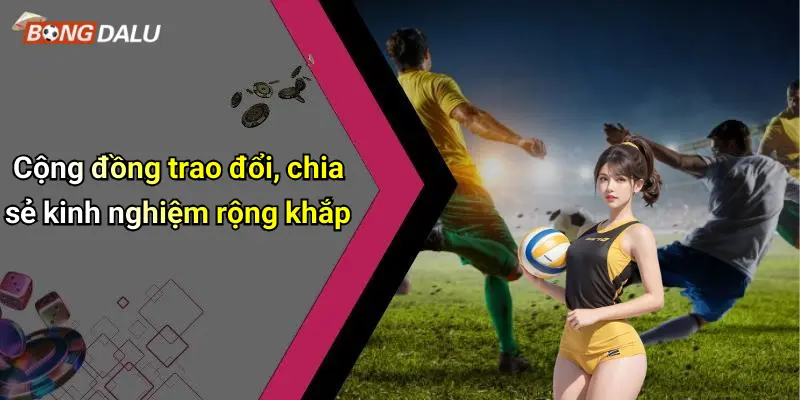 Cộng đồng trao đổi, chia sẻ kinh nghiệm rộng khắp