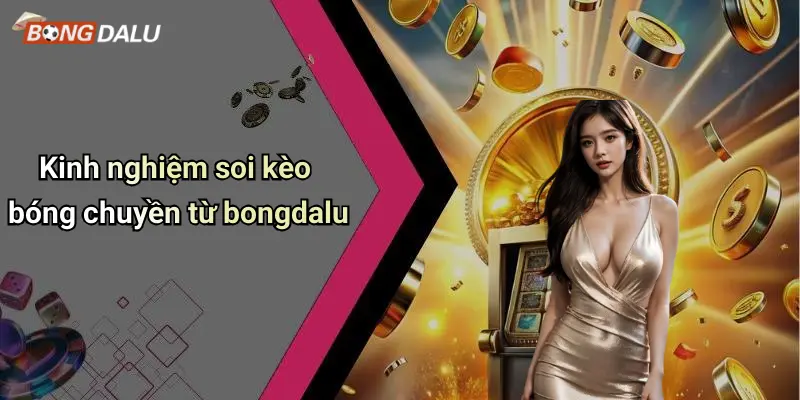 Kinh nghiệm soi kèo bóng chuyền từ bongdalu