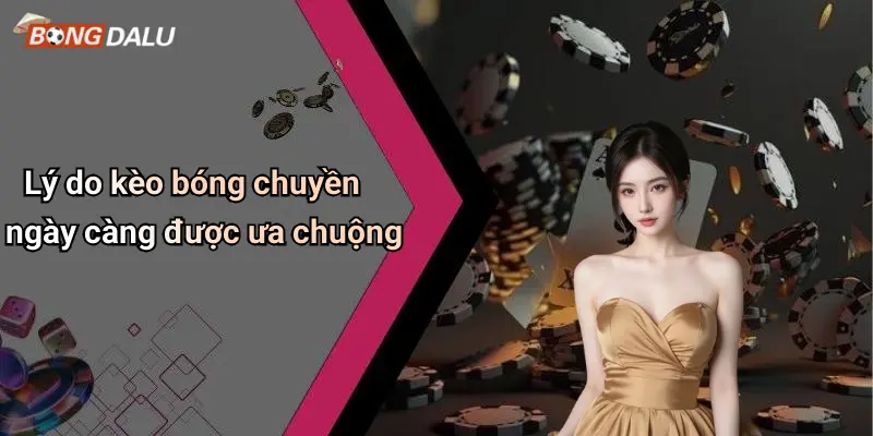 Lý do kèo bóng chuyền ngày càng được ưa chuộng