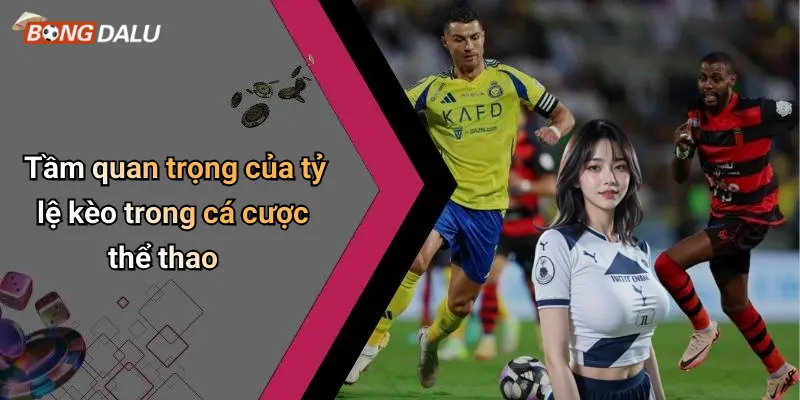 Tầm quan trọng của tỷ lệ kèo trong cá cược thể thao