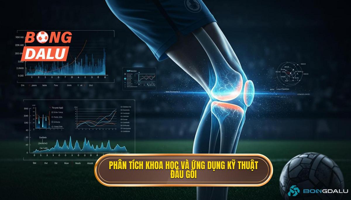 Phân Tích Cơ Sở Khoa Học và Tính Ứng Dụng Của Kỹ Thuật Đầu Gối