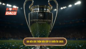 Soi kèo các trận đấu cúp C1 châu Âu 2025