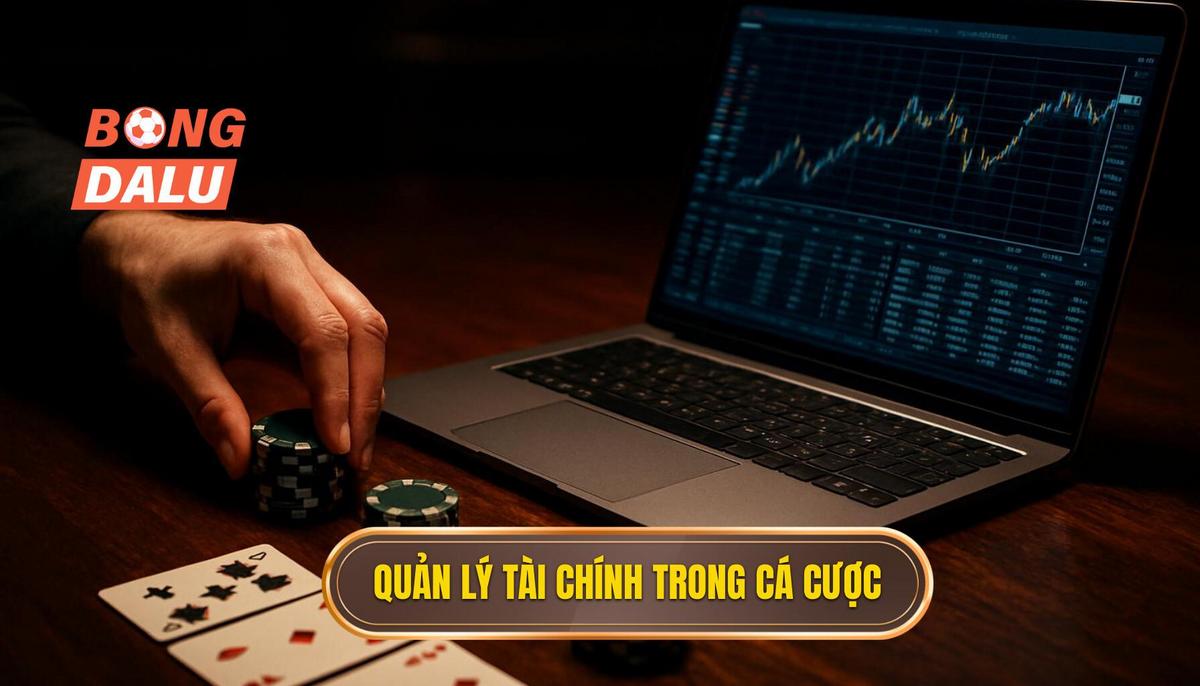 Tầm quan trọng cốt lõi của việc quản lý tài chính trong cá cược