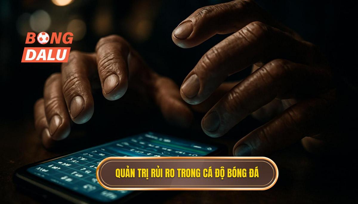Tư duy đúng đắn về quản trị rủi ro trong cá độ bóng đá
