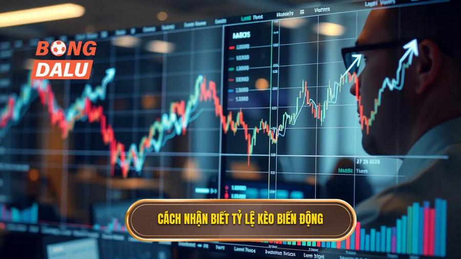 3. Cách nhận biết tỷ lệ kèo biến động
