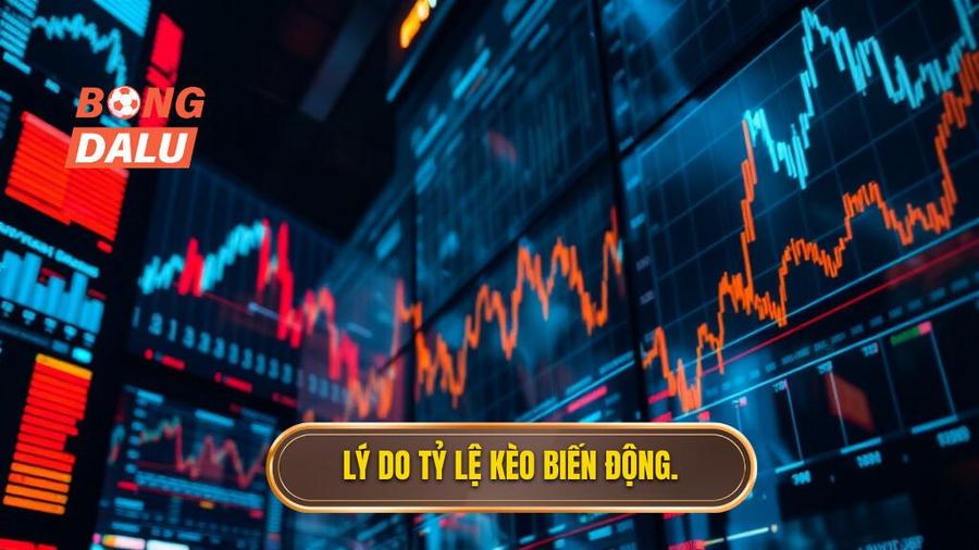 3. Lý do tỷ lệ kèo biến động.