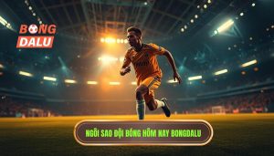 Ngôi sao đội bóng hôm nay BONGDALU